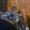 aloni_cromartie
